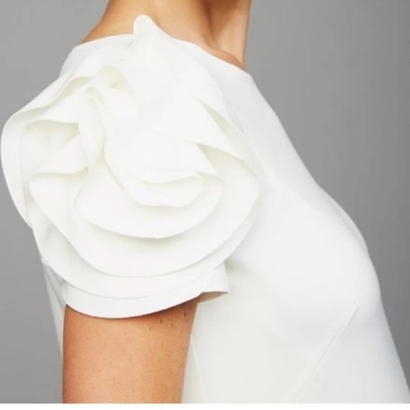 Pietro Brunelli Salisburgo Rose Maternity Dress M - Picture 11 of 15